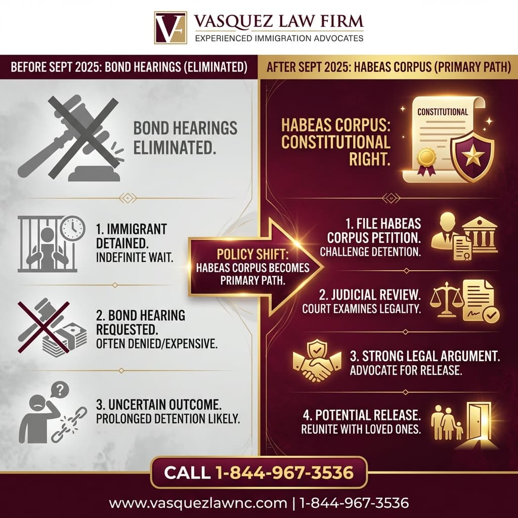 Visual Guide 1 for What Is Habeas Corpus and How It Protects You in 2026