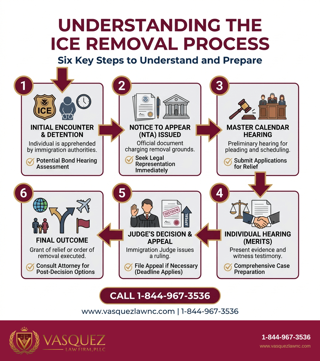 Key Statistics and Data for Stay of Removal: Emergency Options to Pause a Deportation Order