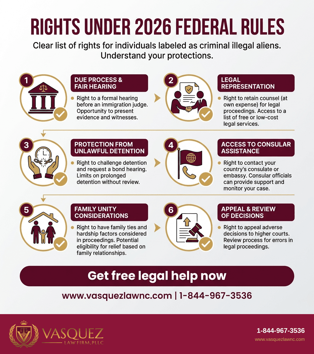 Visual Guide 2 for Criminal Illegal Alien Cases: Key Facts and Rights in 2026