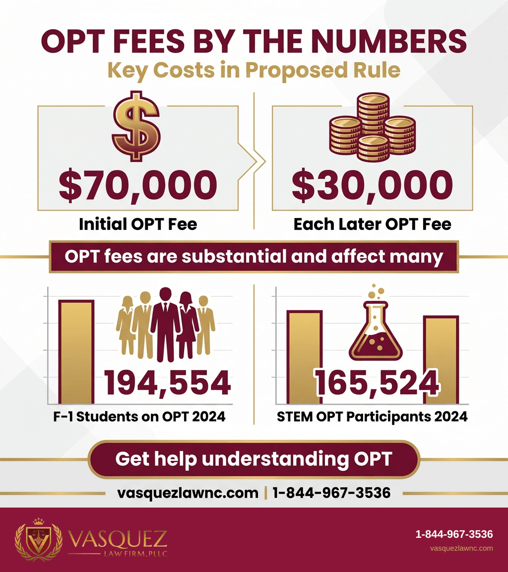 Process Timeline for OPT Fees Could Reshape Student Work Options in 2026